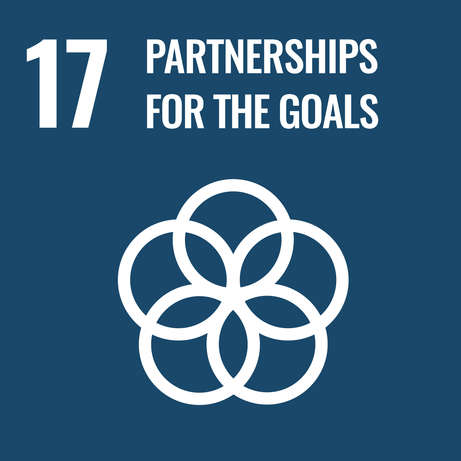 SDG-Logo